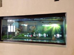 1分鐘了解幻影成像報(bào)價(jià)